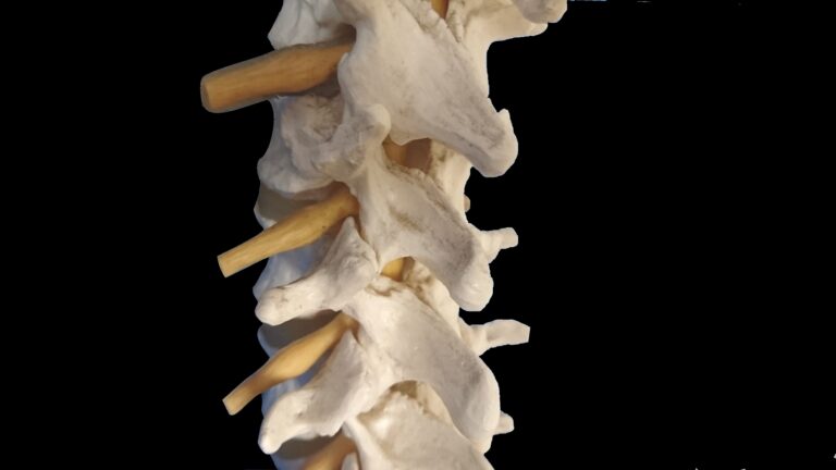 sample01