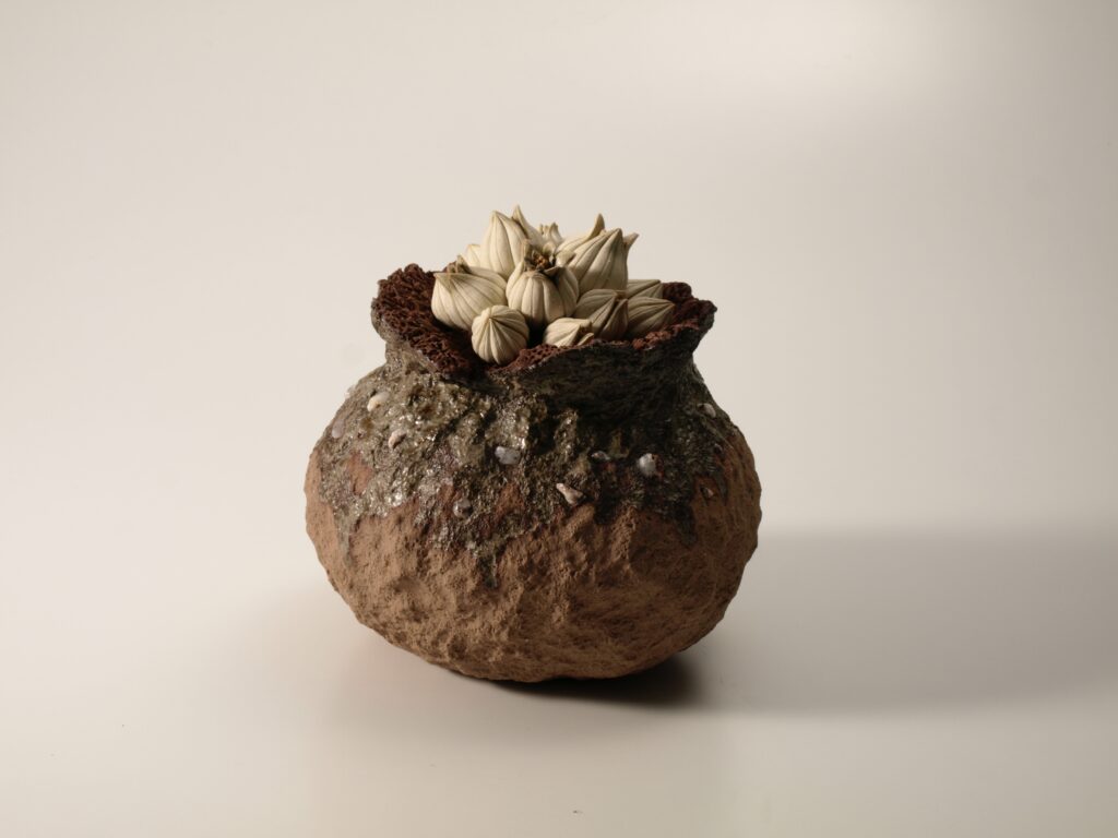 TANE series -蕾種- (2)