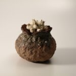 TANE series -蕾種- (2)