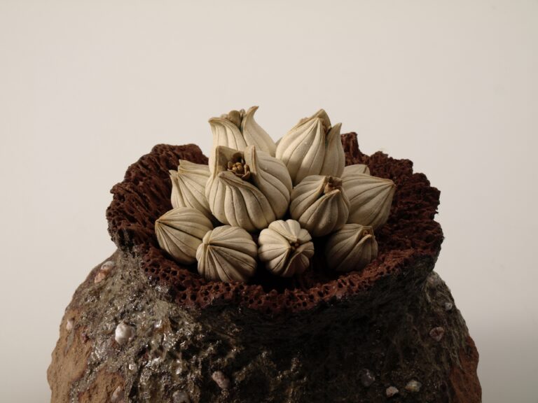TANE series -蕾種-