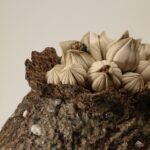 TANE series -蕾種- (3)
