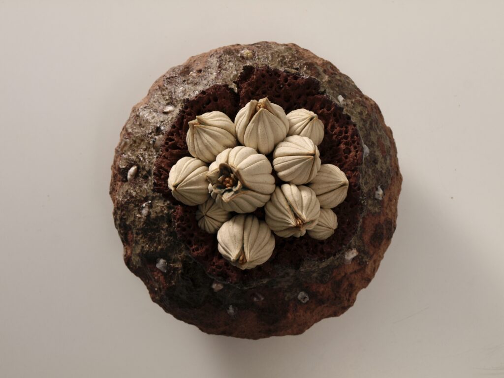 TANE series -蕾種- (4)