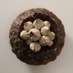 TANE series -蕾種- (4)