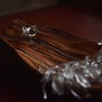 生まれくるもの、還りゆくもの -共生- (2)