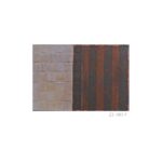 井上しげこ展「かつて、そしていま、また」 (16)