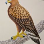 西唱寺客殿 (3)