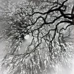水墨画