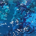 森の水 (5)