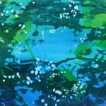 森の水 (2)
