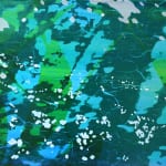 森の水