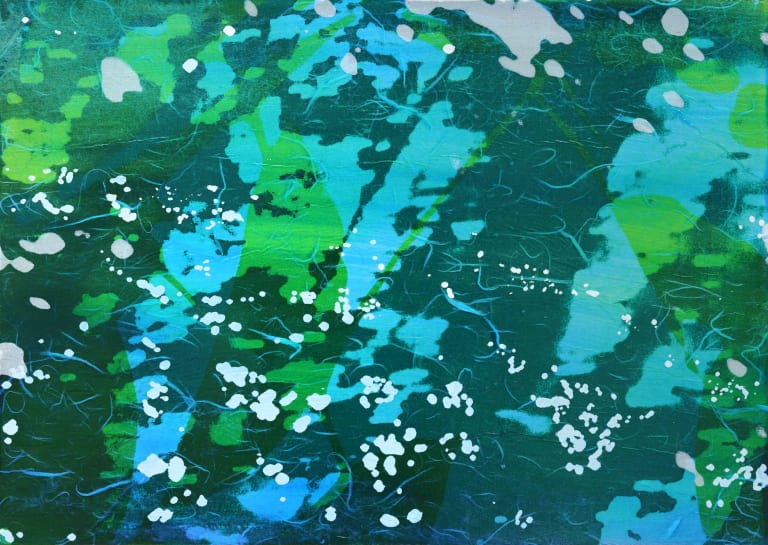 森の水