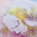 やわらかい花 (2)