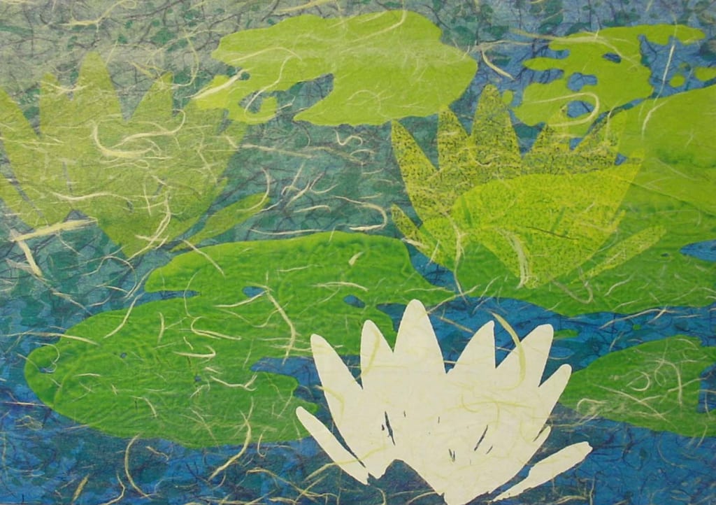 Nymphaea colorata　(size : B4)