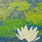 Nymphaea colorata　(size : B4)