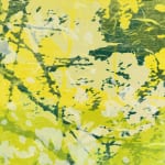 こもれび　2015 (6)