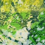 こもれび　2015 (5)